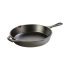 Cast Iron Pre-Seasoned Skillet